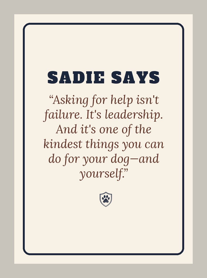 Sadie Says Card Deck — design 2