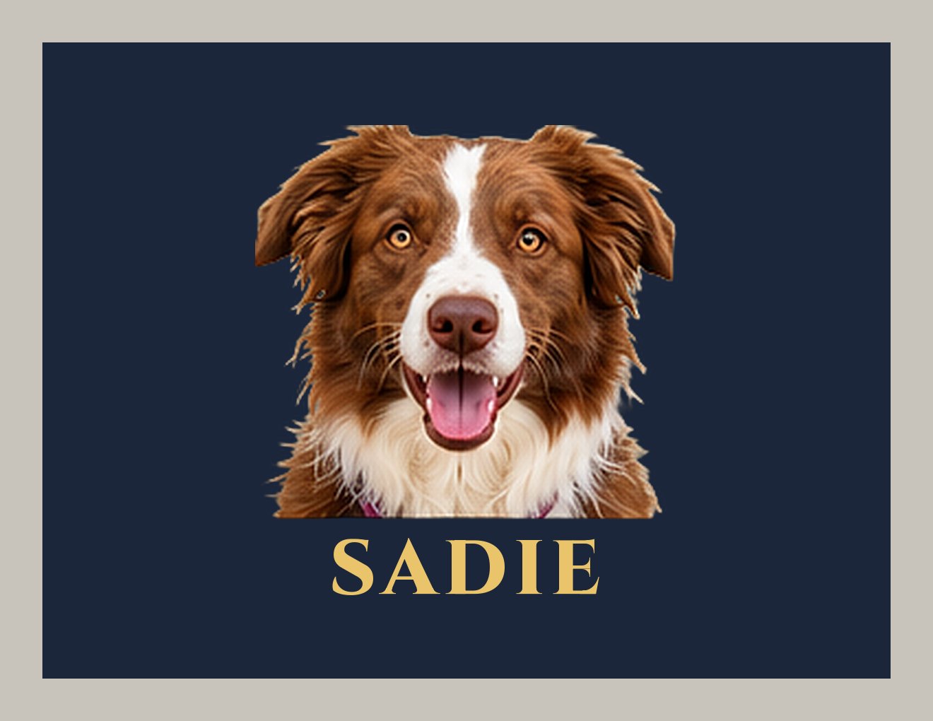 Sadie Dog Harness — design 2