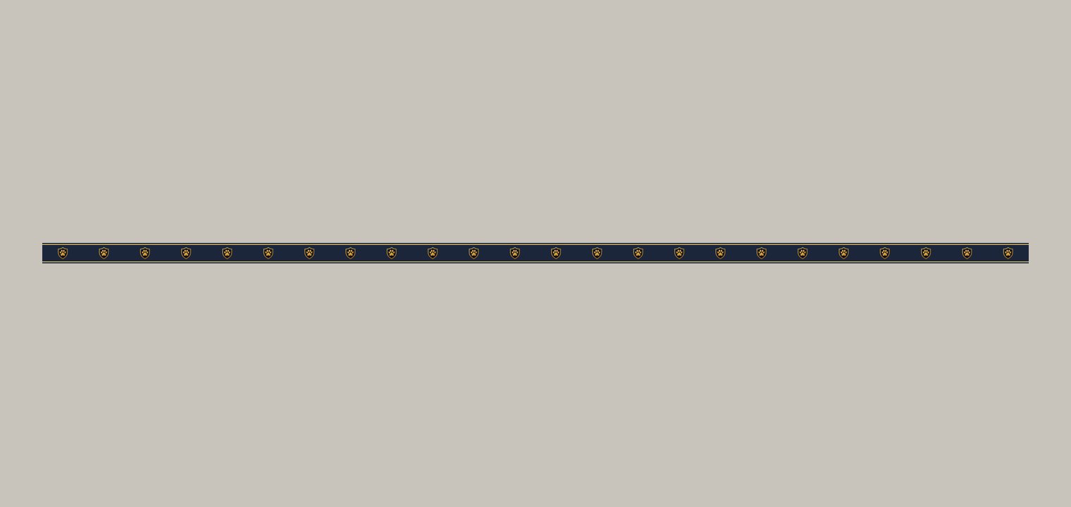 Paw Lanyard — design 2