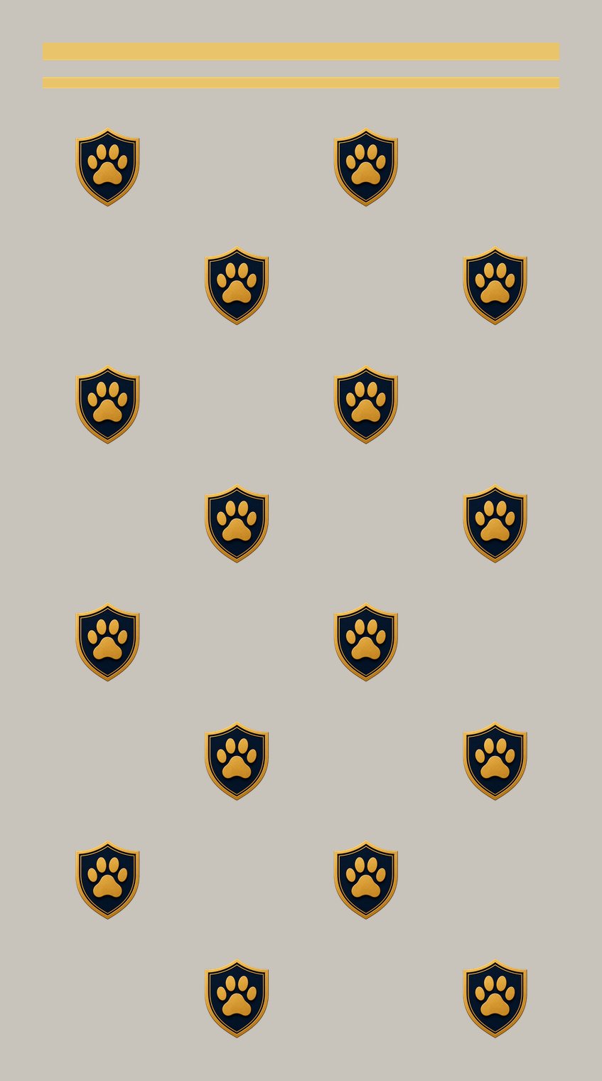 Paw Socks — design 2